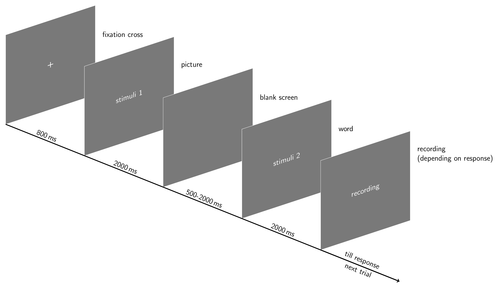 Time course of events in an experiment