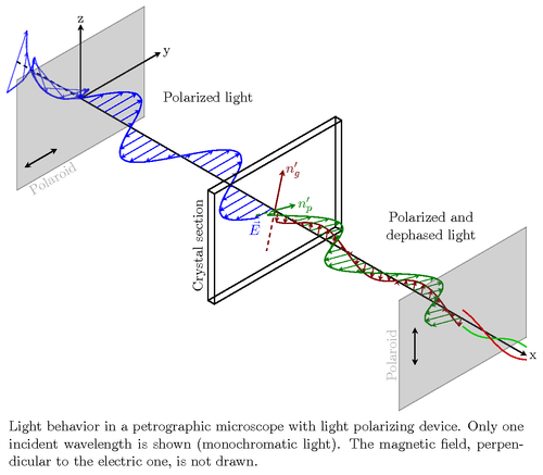 Polarizing microscope